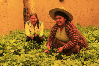 Patenkind Sayda aus Bolivien mit ihrer Mutter im Gemüsegarten