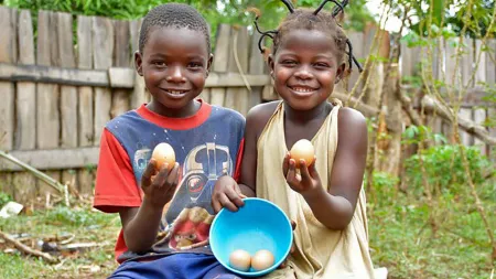 Hunger in Afrika: Mit 40 € Kindern ein Huhn schenken